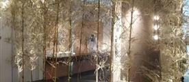 贝隆饰面板-别让家具成了无形杀手
